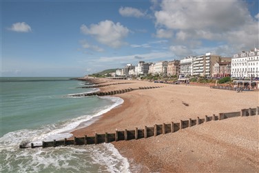 Eastbourne Turkey & Tinsel 